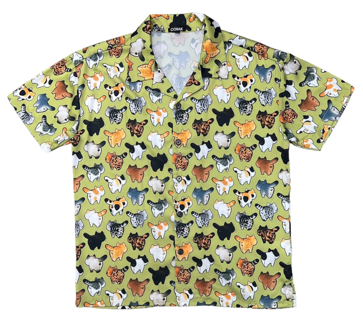 Cute Kitty Shirt