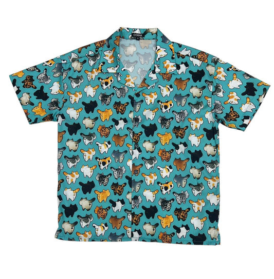 Cute Kitty Turquoise Shirt