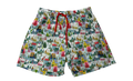 Christmas Scenery Shorts
