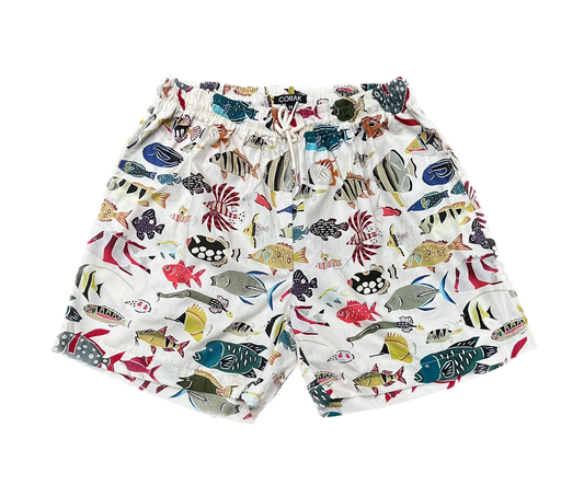 Coral Reef Fishes Shorts